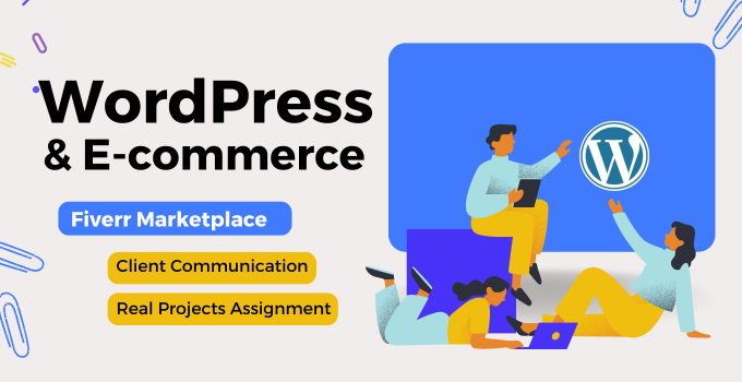Best WordPress Course
